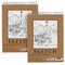 9" x 12" Top Spiral Bound Sketch Book Pad, Pack of 2, 100 Sheets Each, 60lb (100gsm) - Artist Sketching Drawing Pad, Acid-Free - Graphite Colored Pencils, Charcoal - Adults, Students